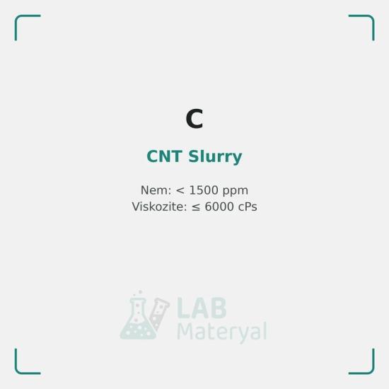 CNT Slurry (LM-COND-SL-NC879) | LabMateryal İletken Katkı